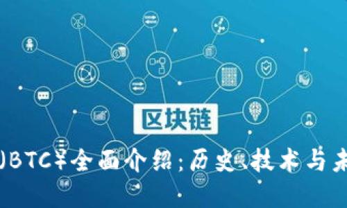 比特币(BTC)全面介绍:历史、技术与未来展望