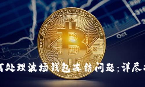 如何处理波场钱包冻结问题:详尽指南