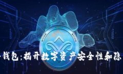 数字货币神秘钱包：揭开