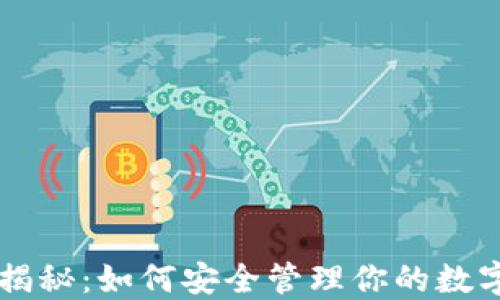 区块链技术揭秘:如何安全管理你的数字钱包和账户