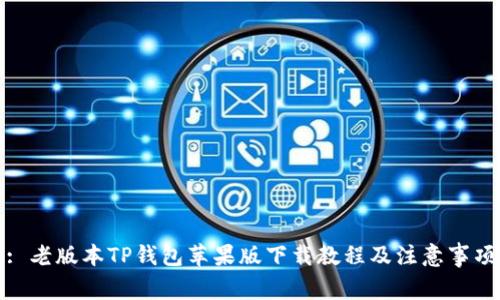 : 老版本TP钱包苹果版下载教程及注意事项