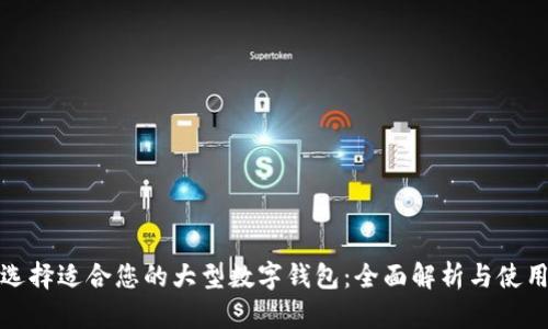 如何选择适合您的大型数字钱包:全面解析与使用技巧