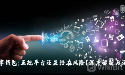 数字钱包:正规平台还是潜在风险?深度解析与评估