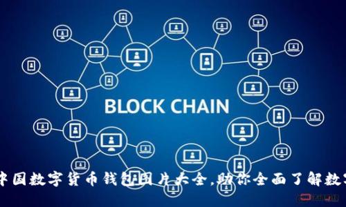 高清中国数字货币钱包图片大全，助你全面了解数字货币