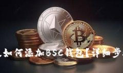 TP钱包电脑版如何添加BS