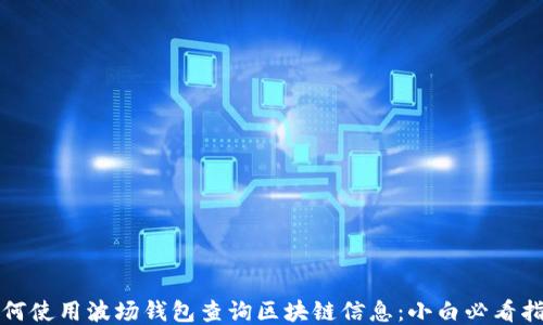 
如何使用波场钱包查询区块链信息：小白必看指南