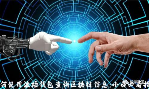 
如何使用波场钱包查询区块链信息：小白必看指南