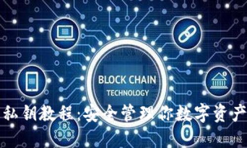 TP钱包导入私钥教程：安全管理你数字资产的必备指南