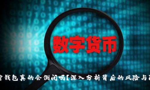 加密钱包真的会倒闭吗？深入分析背后的风险与防范