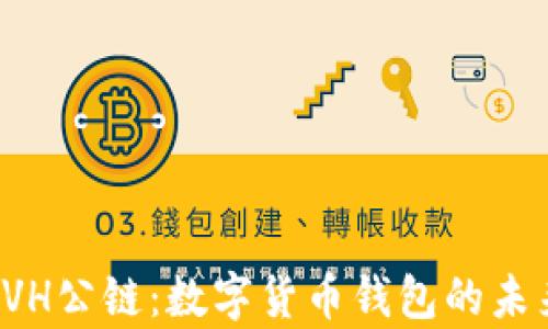 
解析EVH公链：数字货币钱包的未来趋势