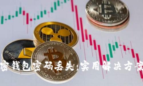 如何应对加密钱包密码丢失：实用解决方案和安全建议