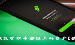 如何使用TP钱包管理币安链