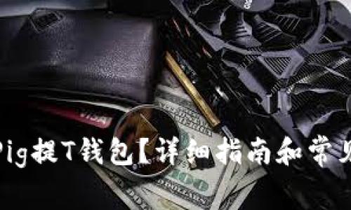 如何使用Pig提T钱包？详细指南和常见问题解答