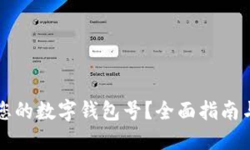 如何查找您的数字钱包号？全面指南与实用方法