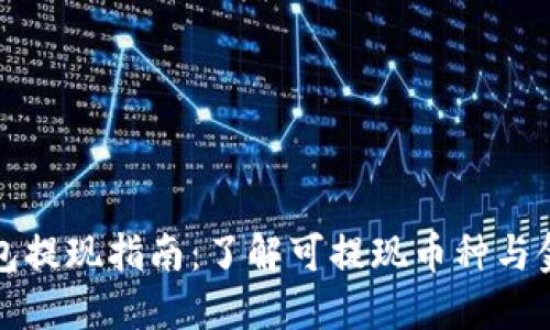 虚拟钱包提现指南：了解可提现币种与金额限制
