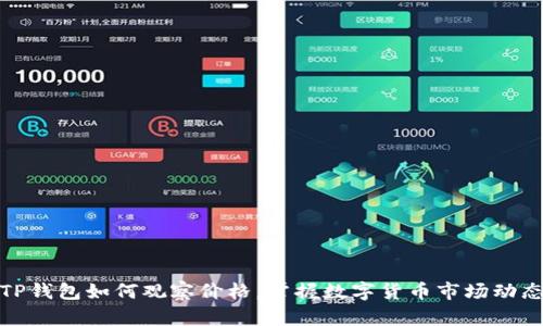 TP钱包如何观察价格，掌握数字货币市场动态