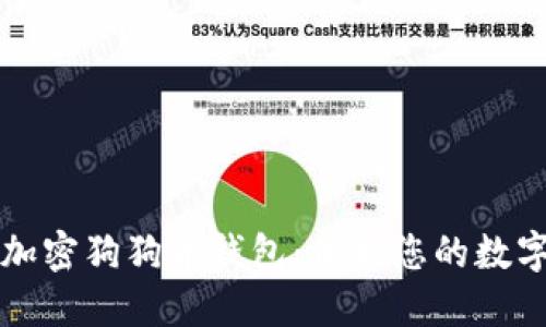 如何加密狗狗币钱包：保护您的数字资产