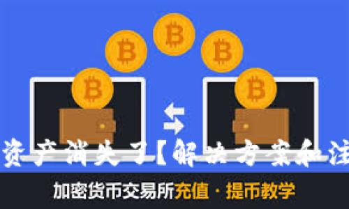 TP钱包的数字资产消失了？解决方案和注意事项全解析