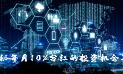 TP钱包：揭秘每月10%分红的投资机会及风险分析