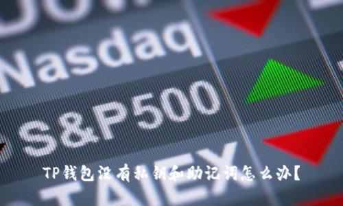 TP钱包没有私钥和助记词怎么办?