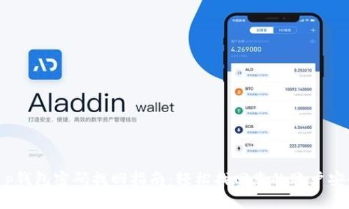 t p钱包密码找回指南:轻松找回您的账户安全