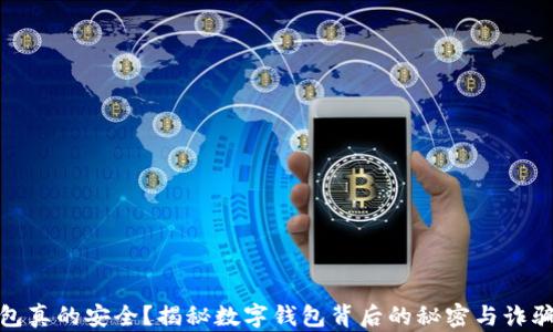 
TP钱包真的安全？揭秘数字钱包背后的秘密与诈骗风险