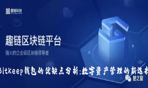 BitKeep钱包的优缺点分析：数字资产管理的新选择