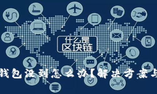 提币到TP钱包没到怎么办?解决方案与注意事项