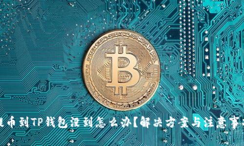 提币到TP钱包没到怎么办?解决方案与注意事项