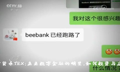 加密货币TRX:未来数字金融的明星,如何投资与应用?