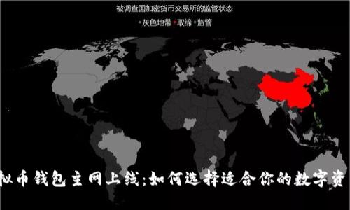 2023年虚拟币钱包主网上线：如何选择适合你的数字资产管理方案