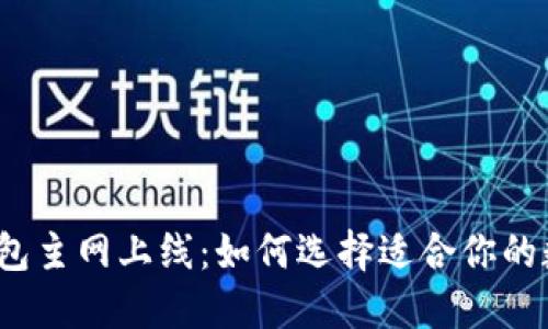 2023年虚拟币钱包主网上线：如何选择适合你的数字资产管理方案