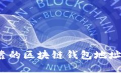 2023年最可靠的区块链钱包