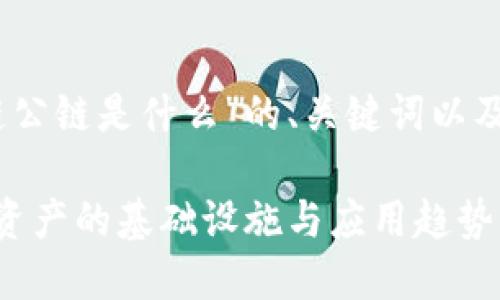 好的，下面是关于“区块链公链是什么”的、关键词以及内容大纲和详细的内容。

**区块链公链：未来数字资产的基础设施与应用趋势