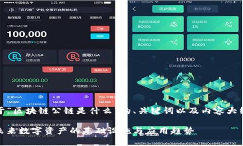 好的，下面是关于“区块链公链是什么”的、关键词以及内容大纲和详细的内容。

**区块链公链：未来数字资产的基础设施与应用趋势