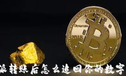 比特派转账后怎么追回你的数字货币?