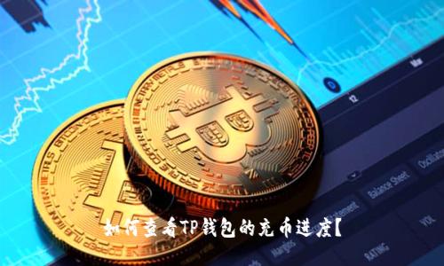 如何查看TP钱包的充币进度?