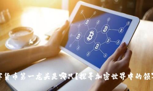 数字货币第一龙头是哪只？探寻加密世界中的领军者
