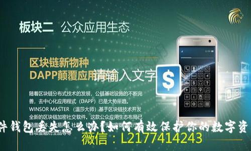 硬件钱包丢失怎么办?如何有效保护你的数字资产?