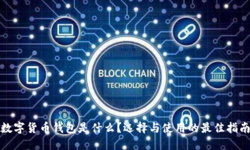 数字货币钱包是什么？选择与使用的最佳指南