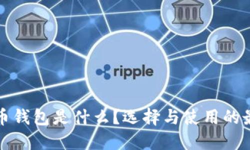 数字货币钱包是什么？选择与使用的最佳指南