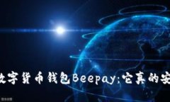 虚拟数字货币钱包Beepay：