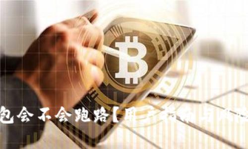 TP钱包会不会跑路？用户指南与风险防范