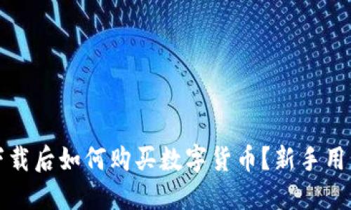 TP钱包下载后如何购买数字货币？新手用户的指南