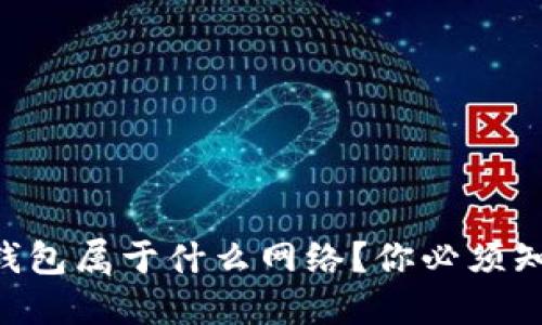 TP钱包里的BSC钱包属于什么网络？你必须知道的区块链知识